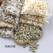 100个 配饰材料 饰金边螺小贝壳切片手工DIY项链手串服装 包邮 天然装