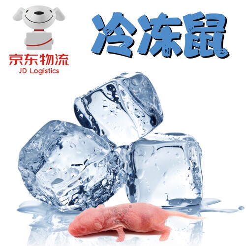 爬贝乐乳鼠冷冻无菌京东物流包邮