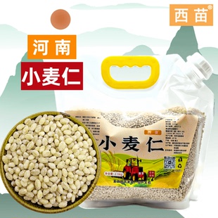 河南小麦仁西苗 去皮优质新麦仁米脱壳带胚芽煮粥麦仁酵子2.5kg袋