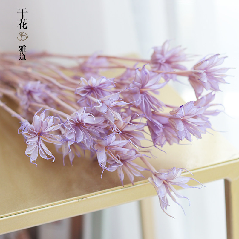 速发八角花风干一束干花小清新花束展客会厅装饰摆材花件真花