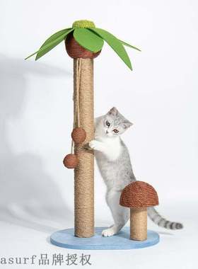 速发imbig ra   serat h cum pcrsoized cs