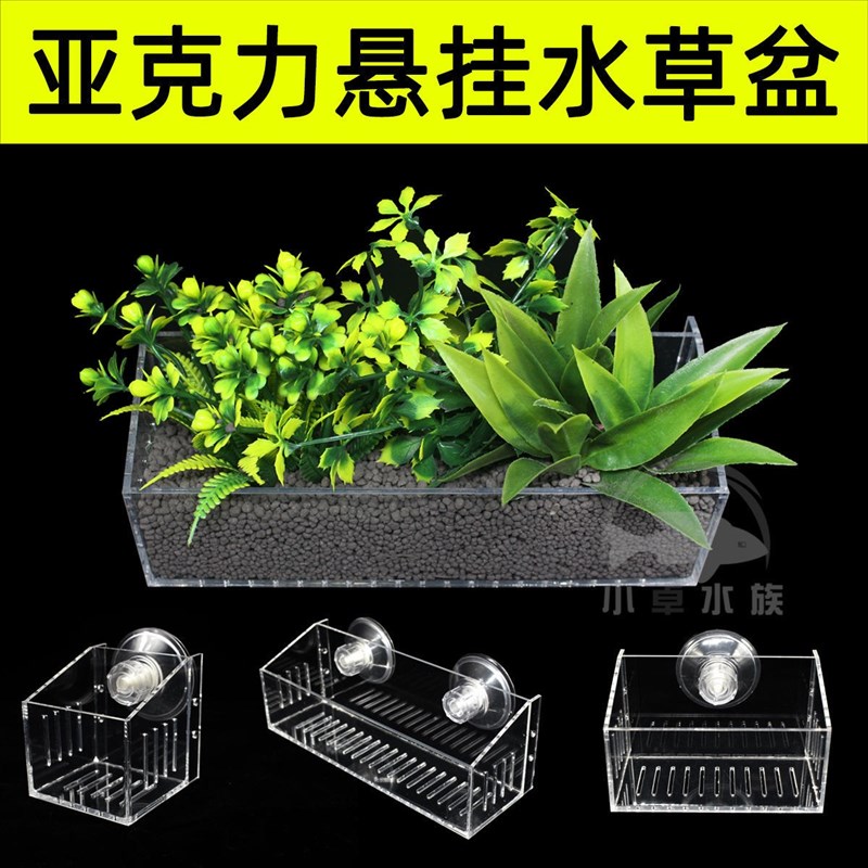 速发鱼缸壁挂水培植物固定架s水草种植杯饲育盘餐景器吸盆挂钩套