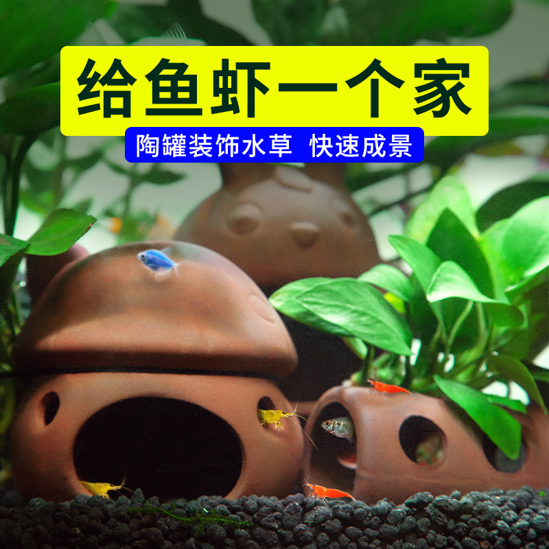速发鱼缸造景全草植物水套餐装饰懒人陶罐水榕装饰件小鱼虾摆品躲