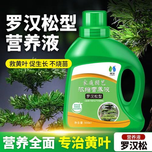 速发罗汉松植物营养液盆舌松四季大阪盆树肥料松景雀栽通用肥