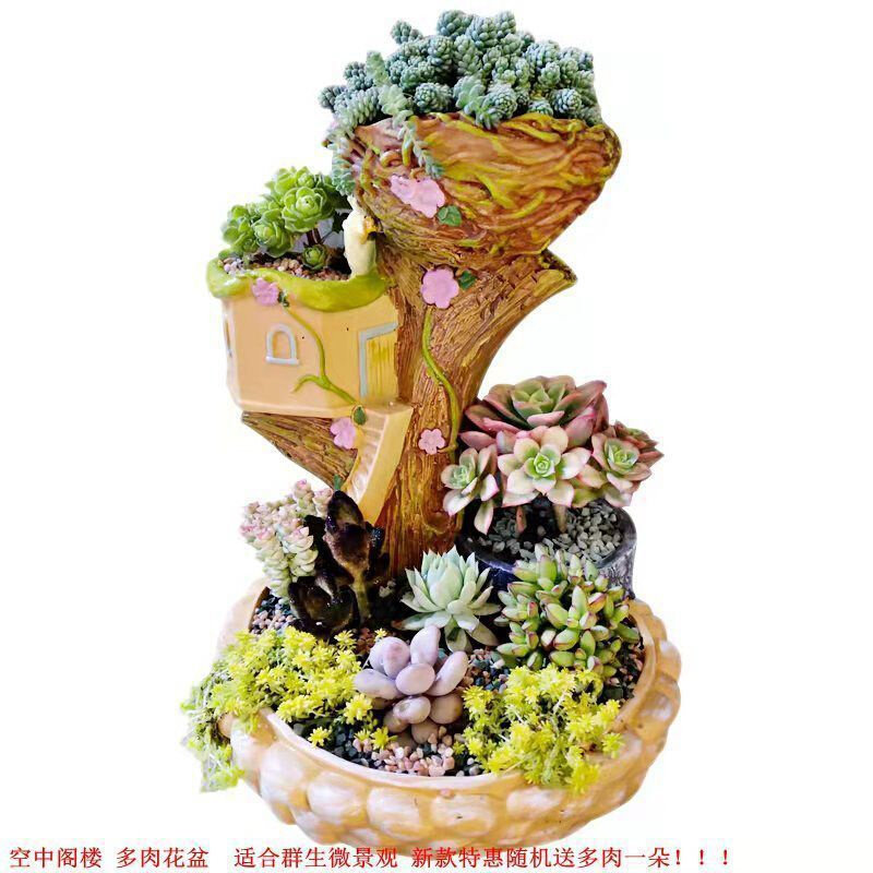 速发微景观田园房子造型多肉花盆拼盘阳台专用盆大号口径创意家用