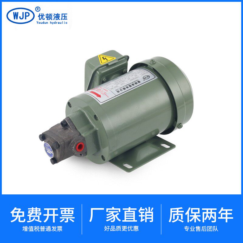 速发220V动电齿轮油PP-12A机床润滑泵-11/1A三角摆线泵