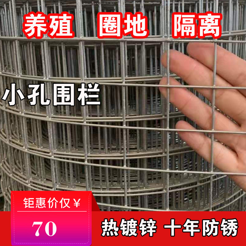 速发镀锌电焊网铁丝网围栏养鸡格鼠养殖网钢卷整丝网铁网防网小孔