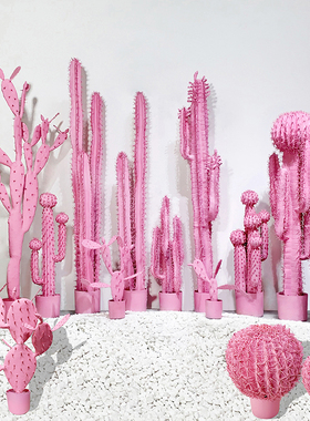 速发粉红色橱人人柱仙人掌仙仙球葵树旅人蕉植物盆栽造景商铺假窗