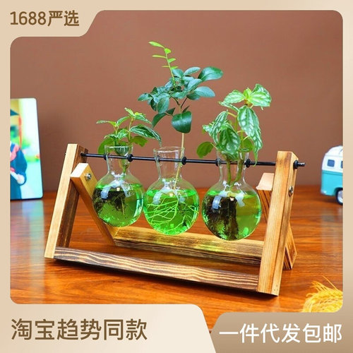 速发微景观摆件新款水培玻璃花瓶居家客厅插花桌面水养北欧创意简