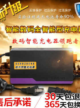 速发精品电动8电瓶6V48V12AH60V64V72V80V车4V6V20A2A