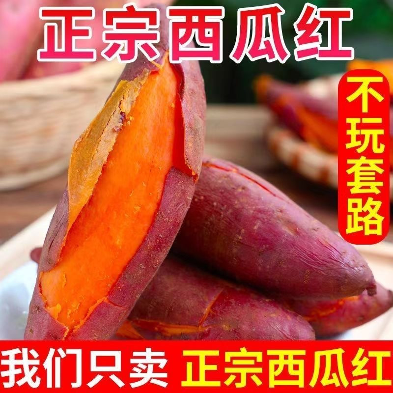 河南特产商用摆摊烤红薯红心地瓜