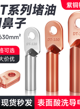 紫铜鼻子DT接线端子电缆接头镀锡线耳10/16/25/35/50/70-630平方