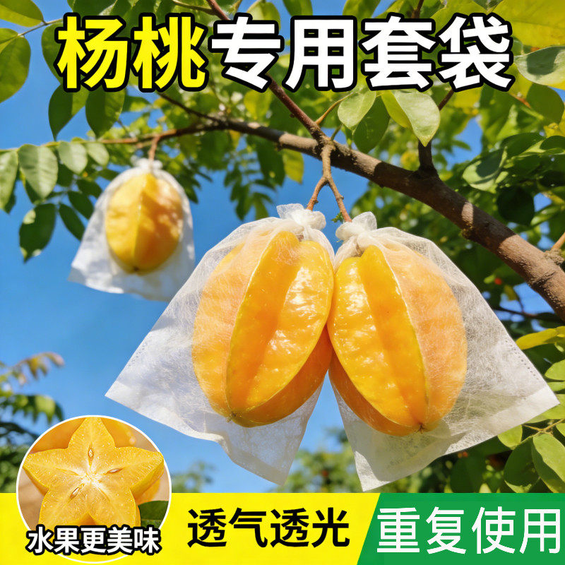 杨桃枇杷无纺布套袋防峰防虫