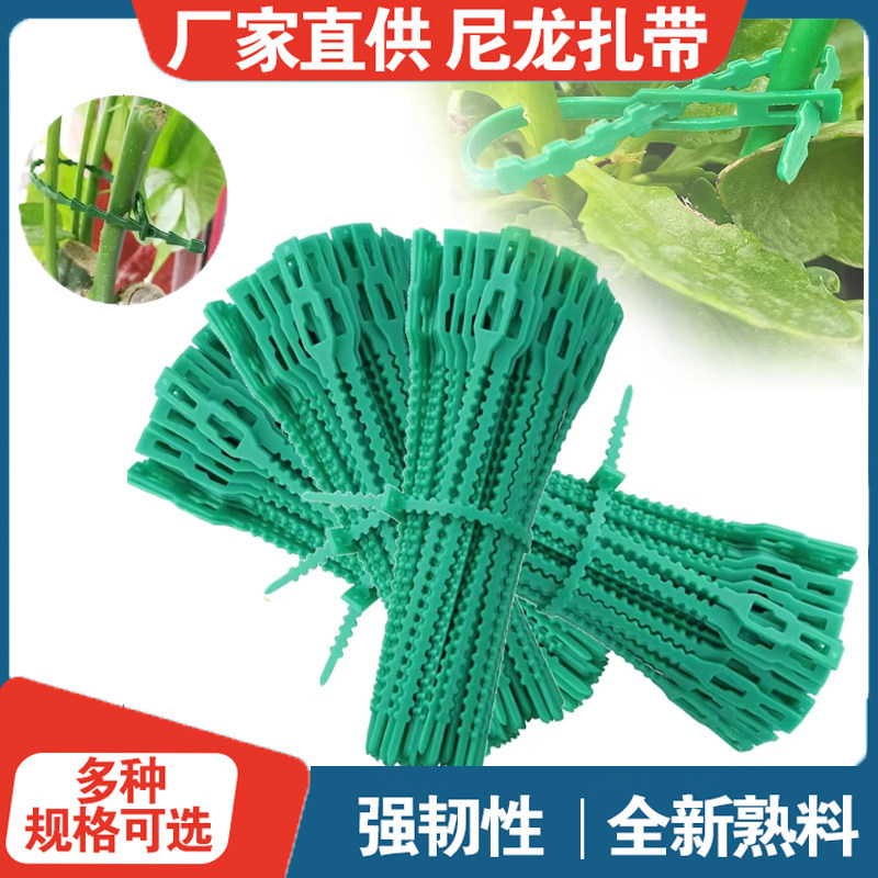 【园艺扎带】扎线鱼骨爬藤植物造型固定线塑料番茄夹绑扎扣捆绑绳