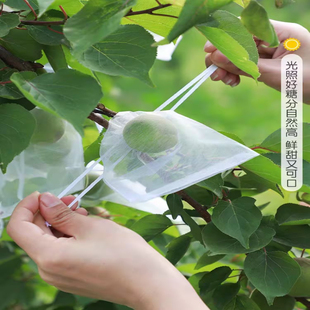 水果套袋防虫网袋防鸟桃子西红柿包瓜果专用保护袋番茄葡萄番石榴