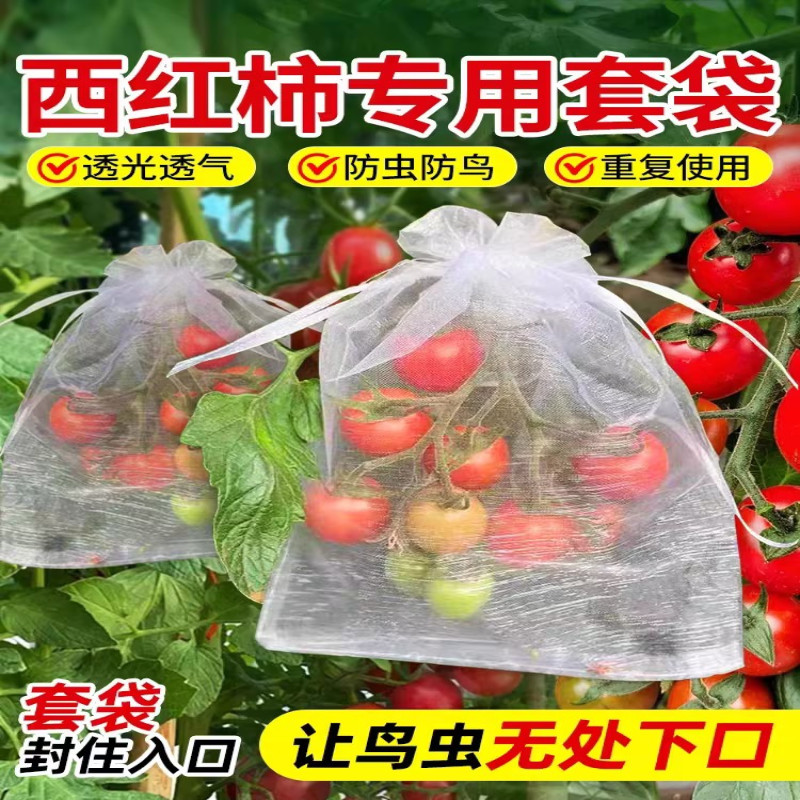 西红柿套袋防虫防鸟番茄圣女果专用水果套袋透光透气防果蝇保护袋
