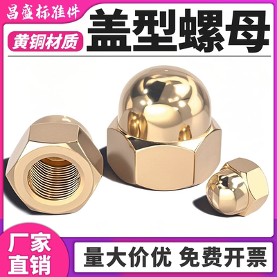 【闪电发货】国标铜盖型螺母