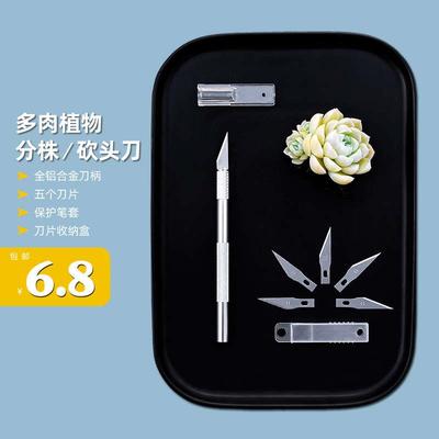 多肉砍头刀扦插嫁接专用工具分株黑腐徒长处理专用刀水仙花雕刻刀