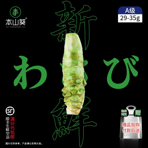 本山葵新鲜山葵厂家直供确保新鲜