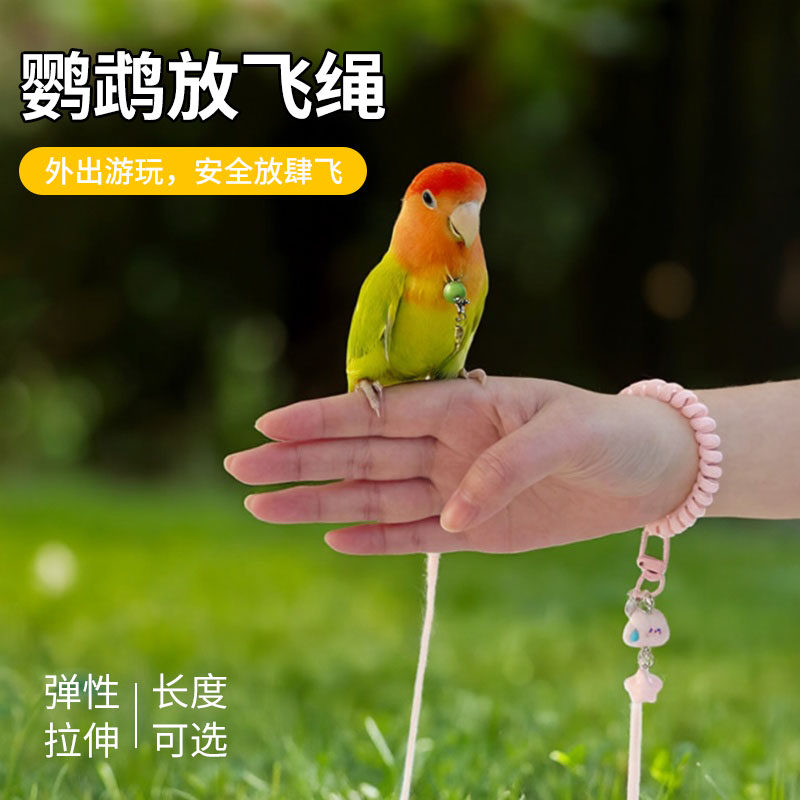 遛鸟牵引绳鹦鹉八哥伸缩放飞虎皮牵引牡丹延长外出玄凤小太阳和尚