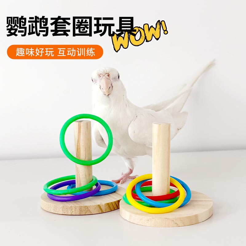 鹦鹉益智玩具训练啃咬互动鸟用品用具鹦鹉鸟益智玩具套圈鸟玩具
