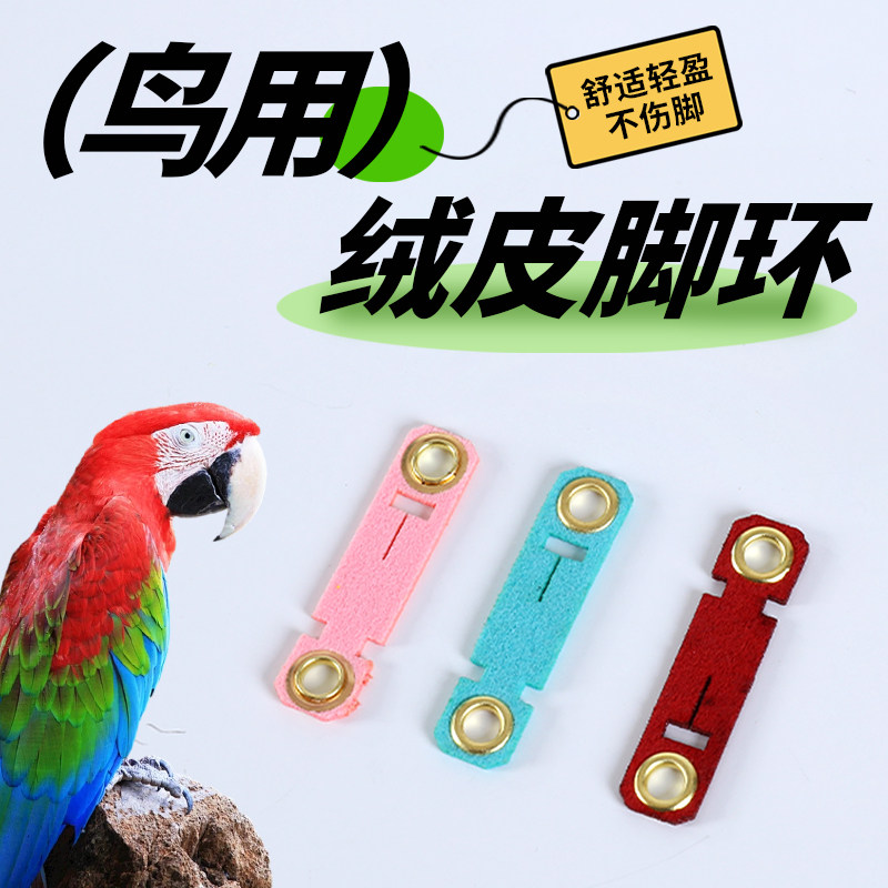 鸟脚链皮套脚环鹦鹉护脚喜鹊乌鸦八哥鹩哥单脚套链绒皮脚套