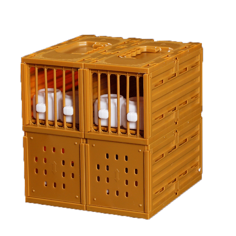 新款塑胶排笼颠颏画眉鸟
