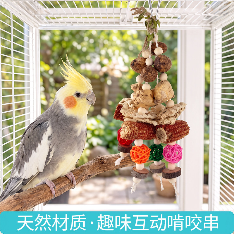 鹦鹉啃咬吊串玩具干果串玉米芯组合挂串啃咬解闷磨牙用品鸟玩具图片