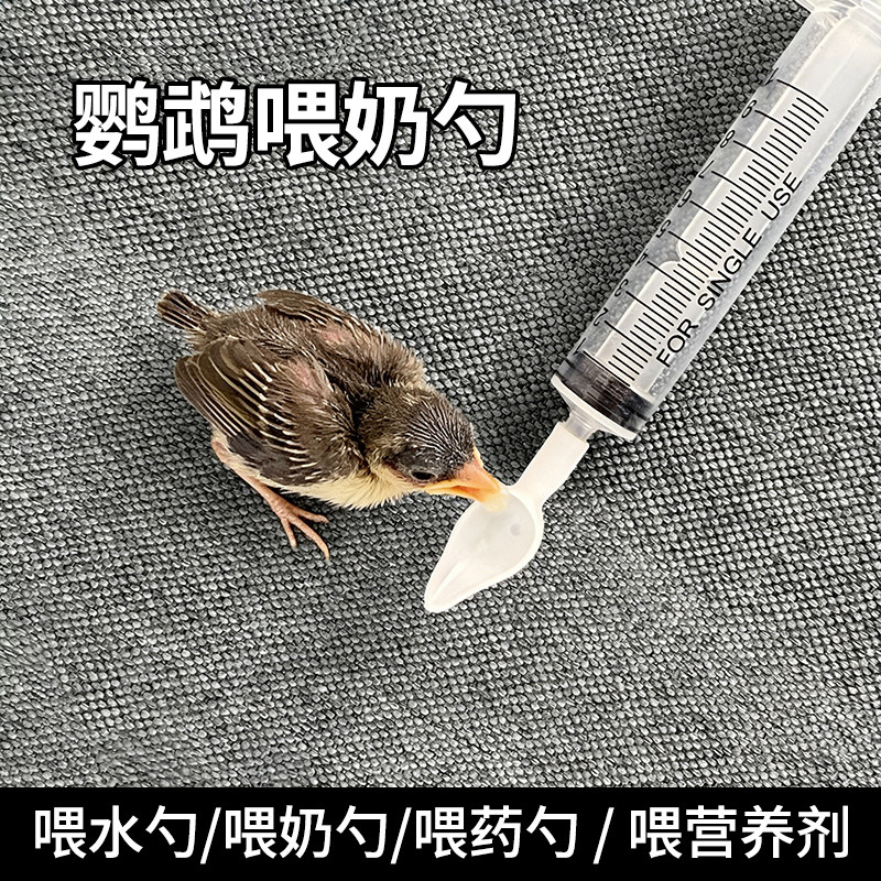 鹦鹉新款喂奶勺幼鸟奶粉勺子小鸟喂食工具灌喂勺子鹦鹉雏鸟喂食勺