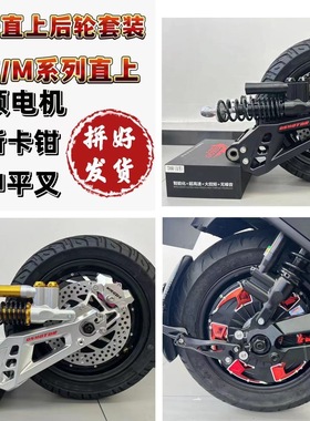 全顺电机12寸2000W3000W大功率电摩电机九号直上SMRT平叉后轮套装