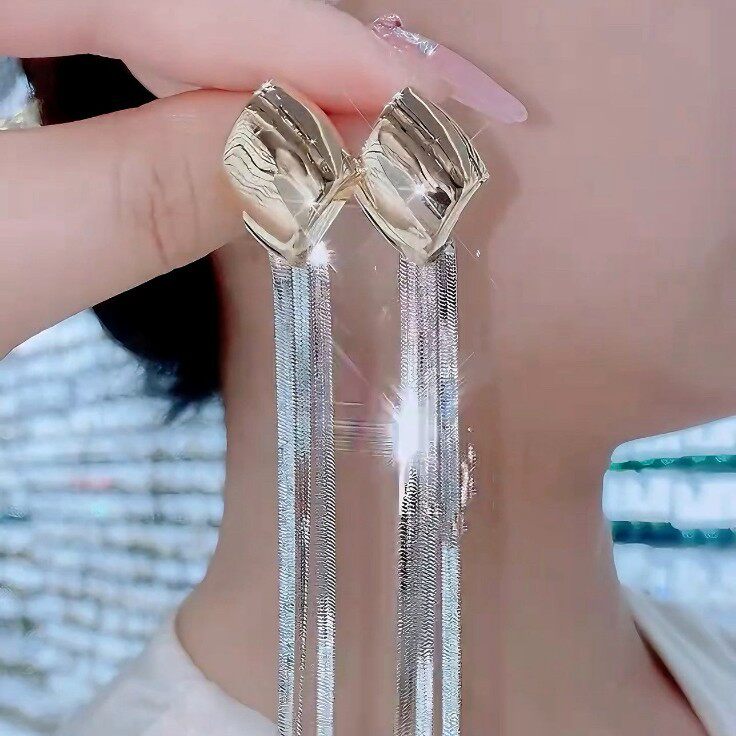 银针高级感轻奢撞色耳钉气质长款流苏耳环复古冷淡风夸张大耳环女