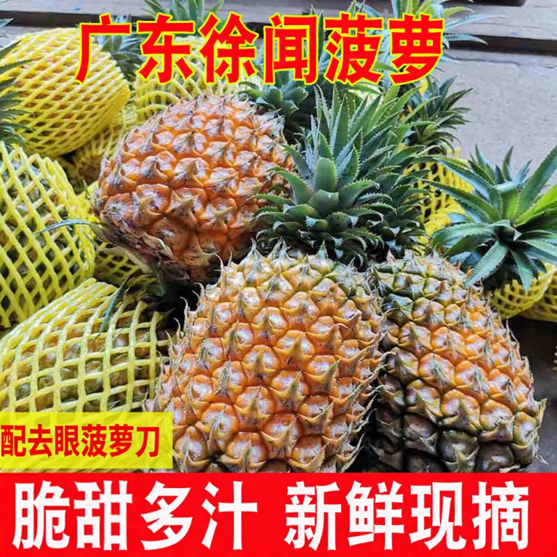 广东徐闻菠萝当季3/5/9斤香甜多汁新鲜当季水果凤梨香水湛江整箱