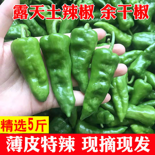 超辣薄皮正宗余干小辣椒新鲜现摘特辣非枫树丰收辣椒包邮青椒