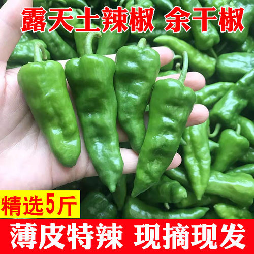 超辣薄皮正宗余干小辣椒新鲜现摘特辣非枫树丰收辣椒包邮青椒