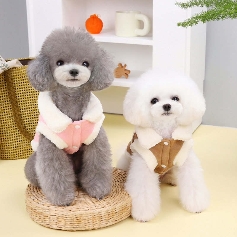 狗狗衣服秋冬装新款宠物