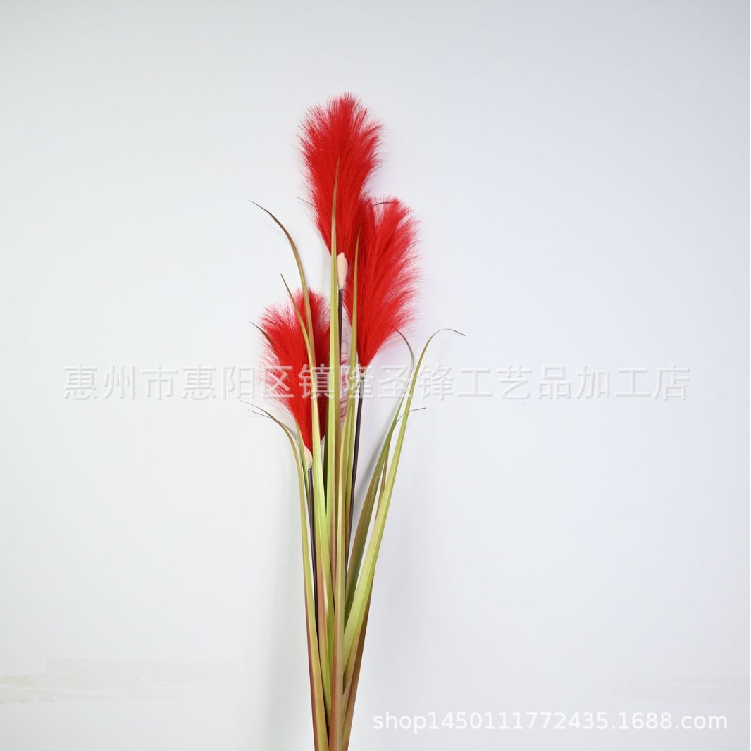 北欧ins风仿真芦苇洋葱草