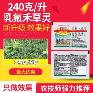 锁阔240克/升乳氟禾草灵大豆田苗后除草剂一年生阔叶杂草除草剂