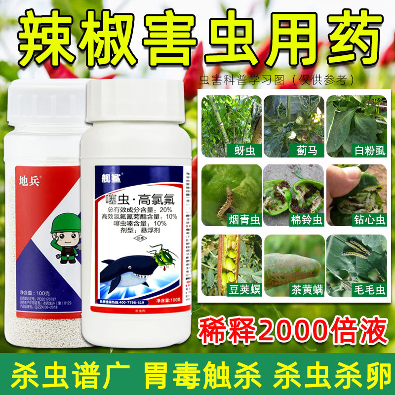 辣椒专用杀虫剂农药噻虫嗪打蚜虫辣椒苗白粉虱蓟马飞虱钻心虫农用