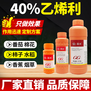 芒果专用药催熟剂生长调节剂国光40%乙烯利水稻增产增收农药大全