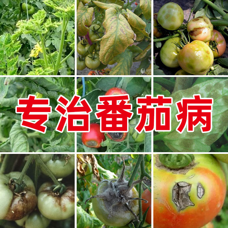 西红柿病毒病专用药杀菌剂疫病黄叶病卷叶病效特药番茄病农药正品,农用物资,杀菌剂,淘宝优惠券,粉丝福利购,淘宝优惠卷