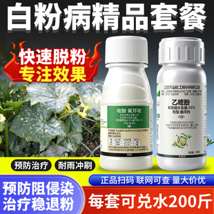 小麦白粉病专用药吡唑醚菌酯氟环唑乙嘧酚植物农用农药套餐杀菌剂