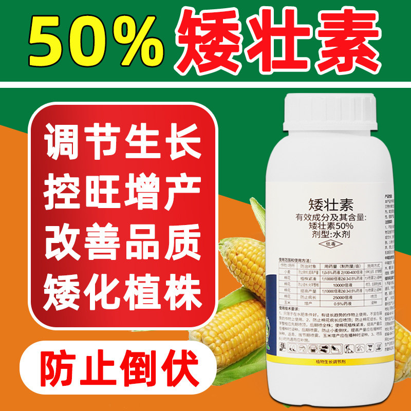 50%矮壮素矮壮剂小麦玉米西瓜甜瓜草莓果树控旺药植物生长调节剂