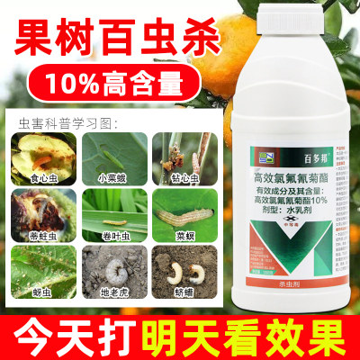 果树杀虫剂农药高效氯氟氰菊酯