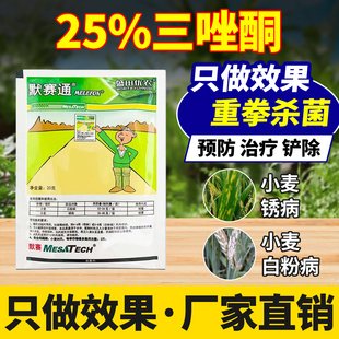 25%三唑酮小麦锈病专用药杀菌剂大蒜草莓花卉白粉病效特农药大全