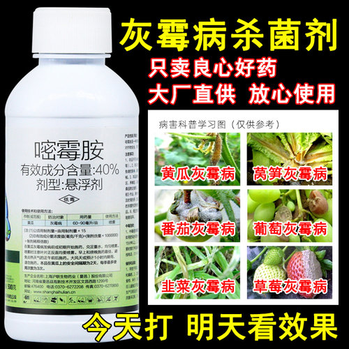 【活动中】灰霉病专用药嘧霉胺