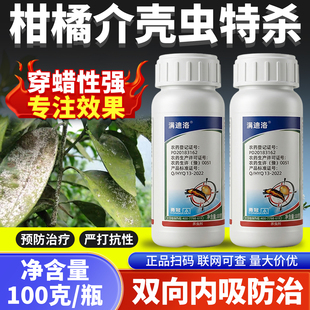 柑橘蚧壳虫专用杀虫剂花卉果树专杀介壳虫的药虫卵双杀螺虫乙酯