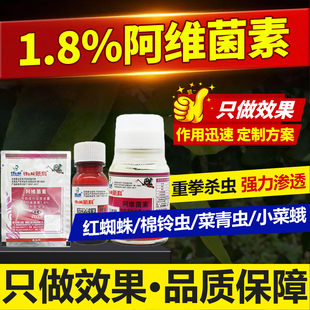 蔬菜小菜蛾菜青虫专用药1.8%阿维菌素棉花红蜘蛛效特农药用杀虫剂