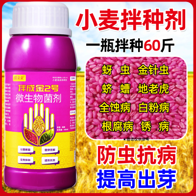【升级版拌成金】小麦专用拌种剂