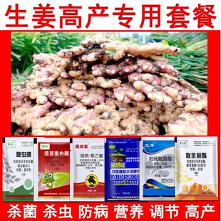 生姜专用农药姜瘟病专用药肥料膨大杀菌剂叶面肥大姜专用增产套餐