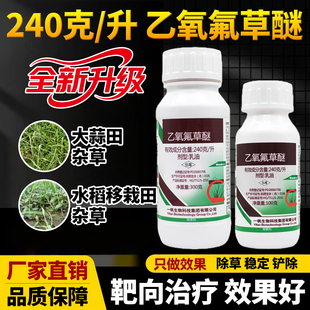 240克/升乙氧氟草醚大蒜田水稻移栽田阔叶莎草稗草农药大全除草剂